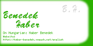 benedek haber business card